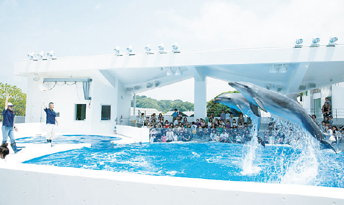 水族館海きらら