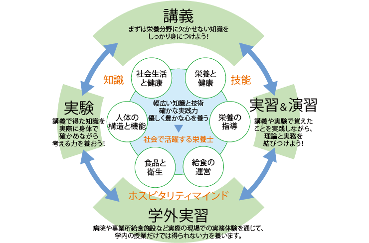 理論と実践が結びついた実践的なカリキュラム