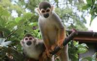 佐世保亜熱帯動植物園